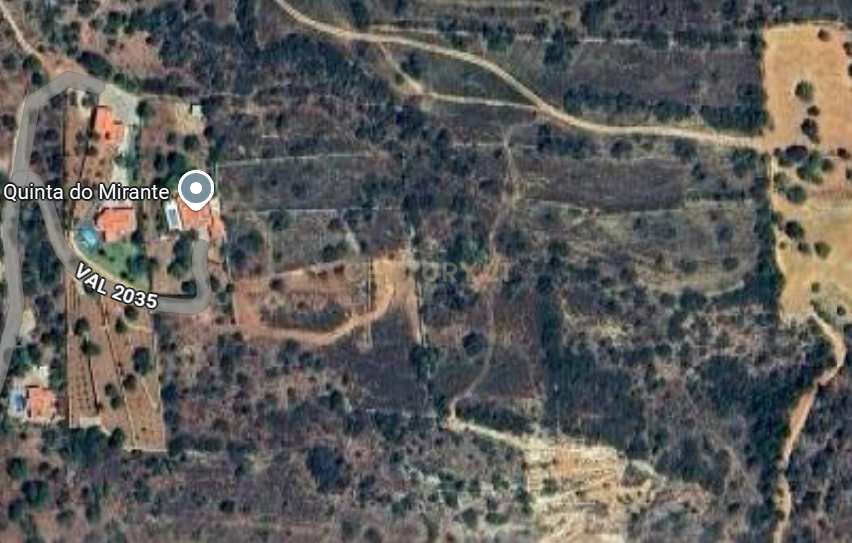 Terreno Agrícola em Gateiras - Localização Privilegiada - Image 4